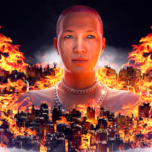 新有菜电影免费观看完整版
